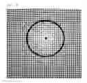 Fig. 04 - Organic light-emitting device