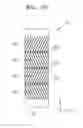 Fig. 20 - Exterior package for flexible electrochemical device and electrochemical device including the exterior package
