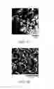 Fig. 06 - ADDITIVES TO ENHANCE ELECTRODE WETTING AND PERFORMANCE AND METHODS OF MAKING ELECTRODES COMPRISING THE SAME