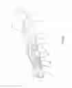 Fig. 09 - Terminal fitting