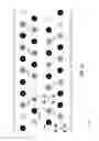 Fig. 11 - Pinfield crosstalk mitigation