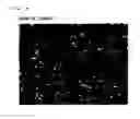 Fig. 09 - Resin bonded carbonaceous brush and method of manufacturing the same