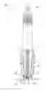 Fig. 02 - Spark plug