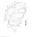 Fig. 09 - Guides for and methods of forming a wire harness