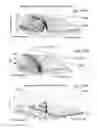 Fig. 81 - Electric machine