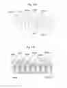Fig. 63 - Electric machine