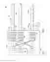 Fig. 09 - Optical fiber-based distributed antenna systems, components, and related methods for calibration thereof