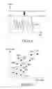 Fig. 07 - Operation method of electronic device for transmitting RF signal and electronic device thereof