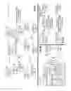 Fig. 03 - Efficient signaling of OFDM/A structure within wireless communications