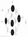 Fig. 03 - DYNAMIC LSP RESIZING IN A GMPLS MESH NETWORK