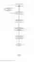 Fig. 08 - Carrier grade Ethernet layer 2 over layer 3 satellite backbones (L2oL3SB)