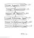 Fig. 06 - SMART CARD FOR PASSPORT, ELECTRONIC PASSPORT, AND METHOD, SYSTEM, AND APPARATUS FOR AUTHENTICATING PERSON HOLDING SMART CARD OR ELECTRONIC PASSPORT