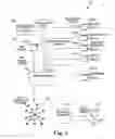 Fig. 06 - Platform runtime abstraction