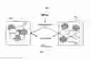 Fig. 01 - Color mapping modeling printing device perturbations