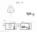 Fig. 06 - Mobile terminal and control method therefor