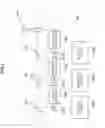 Fig. 04 - Controlling a set of light sources by individual adjustment to output a desired light