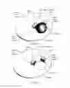 Fig. 33 - POWER OUTLET CAMERAS