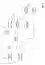 Fig. 03 - Quality metric for compressed video