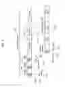 Fig. 06 - Image coding method, image decoding method, image coding apparatus, image decoding apparatus, and image coding and decoding apparatus