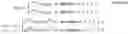 Fig. 04 - Apparatus for transmitting and receiving data through unlicensed band