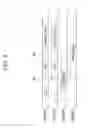 Fig. 12 - Apparatus for transmitting and receiving data through unlicensed band