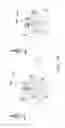 Fig. 18 - Method of controlling heterogeneous network and related apparatuses using the same