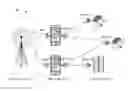Fig. 01 - Network bandwidth sharing for mobile devices