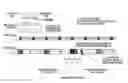 Fig. 01 - HARQ adaptation for acquisition of neighbor cell system information