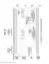 Fig. 16 - Operation methods of communication node in network supporting licensed and unlicensed bands
