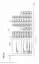 Fig. 11 - Acknowledgement for multiple user communication in a WLAN