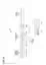 Fig. 13 - Acknowledgement for multiple user communication in a WLAN