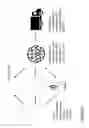 Fig. 06 - Electronic vaporiser system