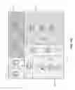 Fig. 21 - Lighting fixture sensor network