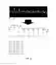 Fig. 11 - Interactive lighting effect portable light illuminating devices and system thereof