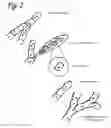 Fig. 03 - Method for producing grown materials