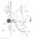 Fig. 03 - SYSTEMS, METHODS, AND APPARATUSES FOR ROOT DEVELOPMENT