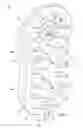 Fig. 05 - System and method for cleaning and maintaining a hygiene of an animal