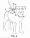Fig. 01 - Garment and Harness Combination