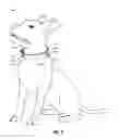 Fig. 07 - Animal restraint device