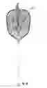 Fig. 12 - Lighted Fish Landing Net