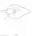 Fig. 05 - Waterfowl decoy