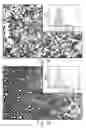 Fig. 06 - Nanoparticle-stabilized microcapsules, dispersions comprising nanoparticle-stabilized microcapsules, and method for the treatment of bacterial biofilms