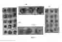 Fig. 07 - Plant extract compositions and methods of preparation thereof