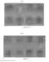 Fig. 10 - Plant extract compositions and methods of preparation thereof