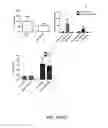 Fig. 09 - METHODS FOR DETERMINATION OF BIOACTIVITY, REMOVAL, OR INACTIVATION CEREAL AMYLASE TRYPSIN INHIBITORS IN CEREALS, FLOURS AND COMPLEX FOODS