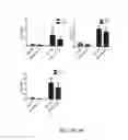 Fig. 10 - METHODS FOR DETERMINATION OF BIOACTIVITY, REMOVAL, OR INACTIVATION CEREAL AMYLASE TRYPSIN INHIBITORS IN CEREALS, FLOURS AND COMPLEX FOODS