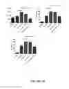 Fig. 11 - METHODS FOR DETERMINATION OF BIOACTIVITY, REMOVAL, OR INACTIVATION CEREAL AMYLASE TRYPSIN INHIBITORS IN CEREALS, FLOURS AND COMPLEX FOODS