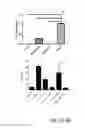 Fig. 15 - METHODS FOR DETERMINATION OF BIOACTIVITY, REMOVAL, OR INACTIVATION CEREAL AMYLASE TRYPSIN INHIBITORS IN CEREALS, FLOURS AND COMPLEX FOODS