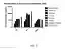 Fig. 16 - METHODS FOR DETERMINATION OF BIOACTIVITY, REMOVAL, OR INACTIVATION CEREAL AMYLASE TRYPSIN INHIBITORS IN CEREALS, FLOURS AND COMPLEX FOODS