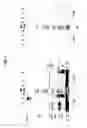 Fig. 02 - PRODUCTION OF PROTEIN-POLYSACCHARIDE CONJUGATES